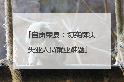 自贡荣县：切实解决失业人员就业难题