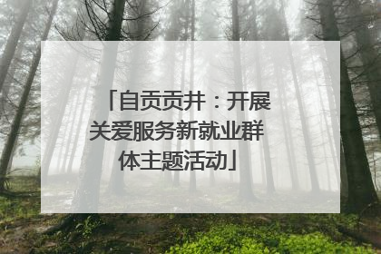 自贡贡井：开展关爱服务新就业群体主题活动