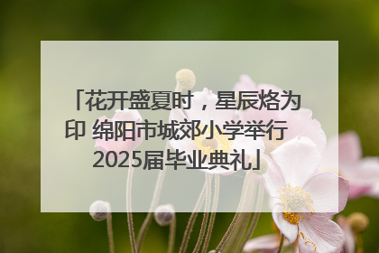 花开盛夏时，星辰烙为印 绵阳市城郊小学举行2025届毕业典礼