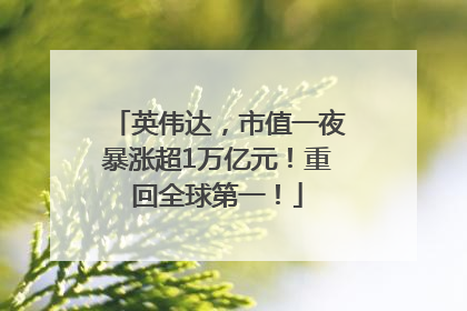 英伟达，市值一夜暴涨超1万亿元！重回全球第一！