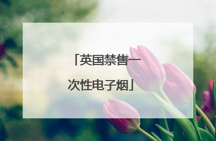 英国禁售一次性电子烟