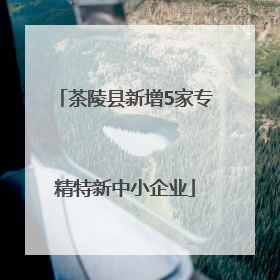 茶陵县新增5家专精特新中小企业