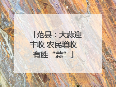范县：大蒜迎丰收 农民增收有胜“蒜”
