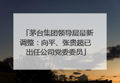 茅台集团领导层最新调整：向平、张贵超已出任公司党委委员