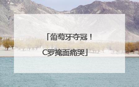 葡萄牙夺冠！C罗掩面痛哭