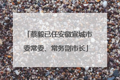 蔡毅已任安徽宣城市委常委、常务副市长