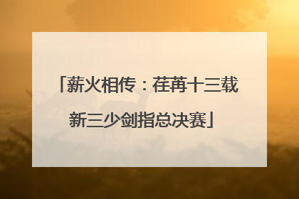 薪火相传：荏苒十三载 新三少剑指总决赛