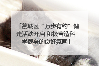 藁城区“万步有约”健走活动开启 积极营造科学健身的良好氛围