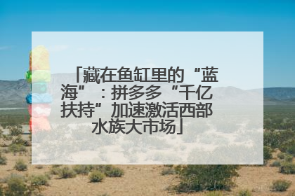 藏在鱼缸里的“蓝海”：拼多多“千亿扶持”加速激活西部水族大市场
