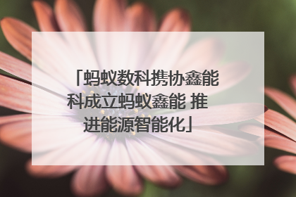 蚂蚁数科携协鑫能科成立蚂蚁鑫能 推进能源智能化