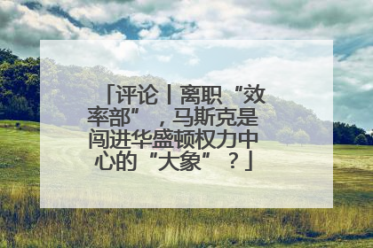 评论丨离职“效率部”，马斯克是闯进华盛顿权力中心的“大象”？