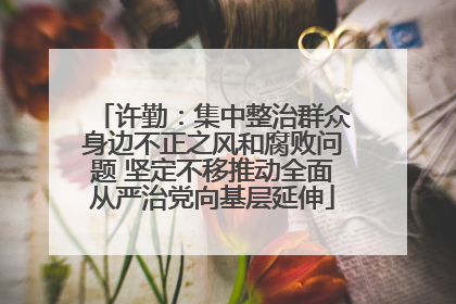 许勤：集中整治群众身边不正之风和腐败问题 坚定不移推动全面从严治党向基层延伸
