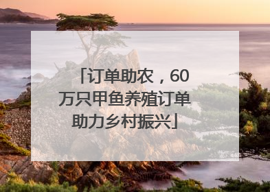 订单助农，60万只甲鱼养殖订单助力乡村振兴