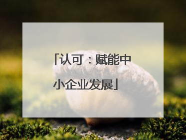 认可：赋能中小企业发展