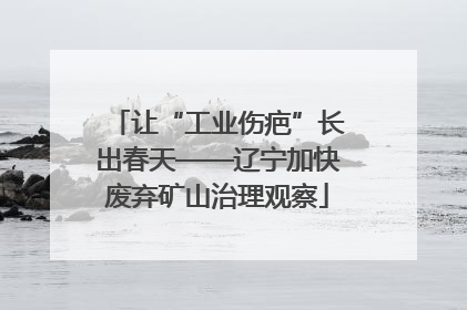让“工业伤疤”长出春天——辽宁加快废弃矿山治理观察