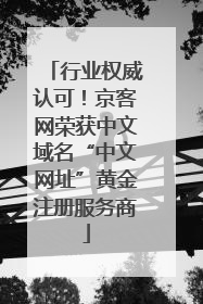 行业权威认可！京客网荣获中文域名“中文网址”黄金注册服务商