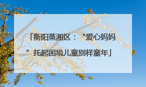 衡阳蒸湘区：“爱心妈妈”托起困境儿童别样童年