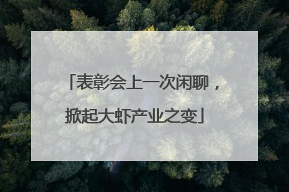 表彰会上一次闲聊，掀起大虾产业之变