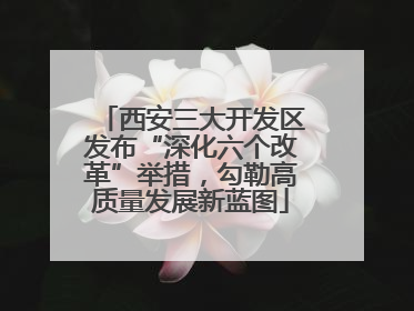 西安三大开发区发布“深化六个改革”举措，勾勒高质量发展新蓝图