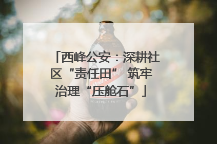 西峰公安：深耕社区“责任田” 筑牢治理“压舱石”