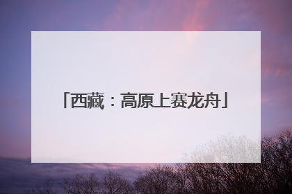 西藏：高原上赛龙舟