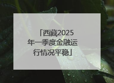 西藏2025年一季度金融运行情况平稳