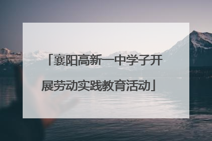 襄阳高新一中学子开展劳动实践教育活动