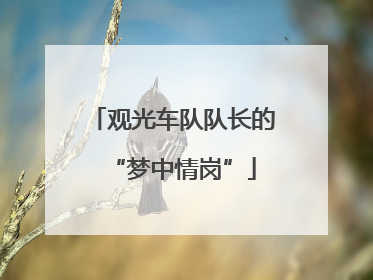 观光车队队长的“梦中情岗”