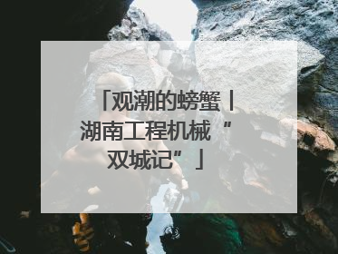 观潮的螃蟹丨湖南工程机械“双城记”
