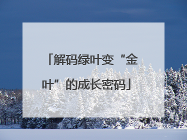 解码绿叶变“金叶”的成长密码