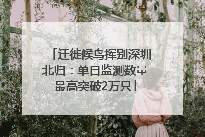 迁徙候鸟挥别深圳北归：单日监测数量最高突破2万只