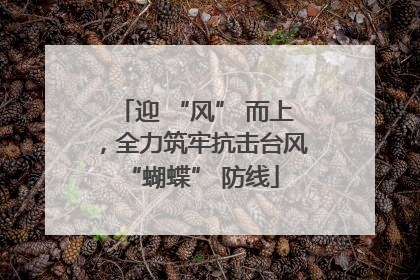 迎 “风” 而上，全力筑牢抗击台风 “蝴蝶” 防线
