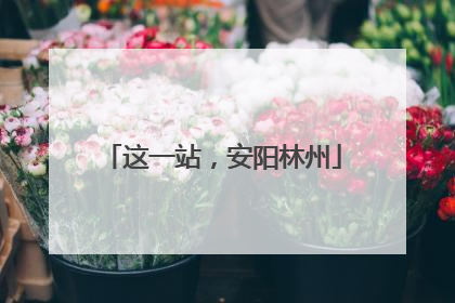 这一站，安阳林州