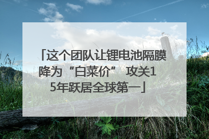 这个团队让锂电池隔膜降为“白菜价” 攻关15年跃居全球第一