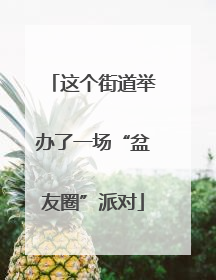 这个街道举办了一场“盆友圈”派对