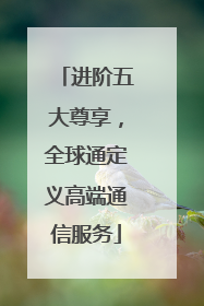 进阶五大尊享，全球通定义高端通信服务