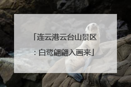 连云港云台山景区：白鹭翩翩入画来
