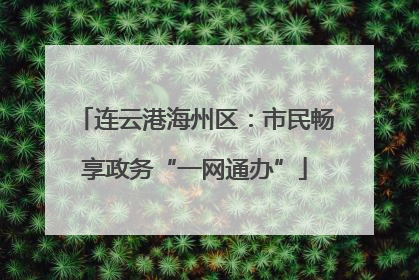 连云港海州区：市民畅享政务“一网通办”