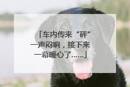 车内传来“砰”一声闷响，接下来一幕暖心了……