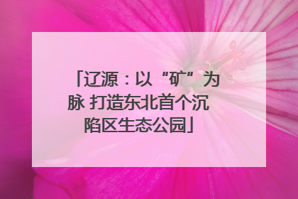 辽源：以“矿”为脉 打造东北首个沉陷区生态公园