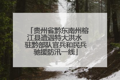 贵州省黔东南州榕江县遭遇特大洪水 驻黔部队官兵和民兵驰援防汛一线