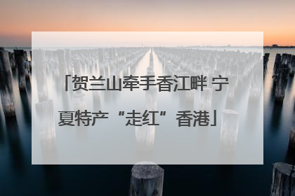 贺兰山牵手香江畔 宁夏特产“走红”香港