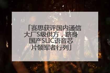 赛思获评国内通信大厂S级供方，跻身国产SLIC语音芯片领军者行列