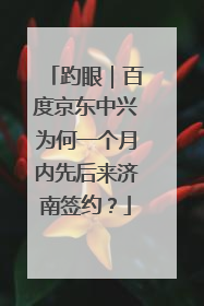 趵眼｜百度京东中兴为何一个月内先后来济南签约？
