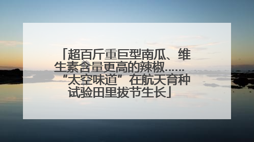 超百斤重巨型南瓜、维生素含量更高的辣椒……“太空味道”在航天育种试验田里拔节生长