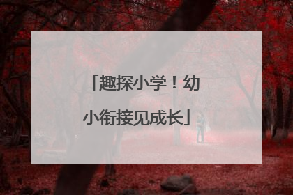趣探小学！幼小衔接见成长