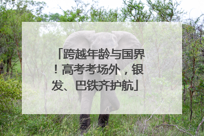 跨越年龄与国界！高考考场外，银发、巴铁齐护航