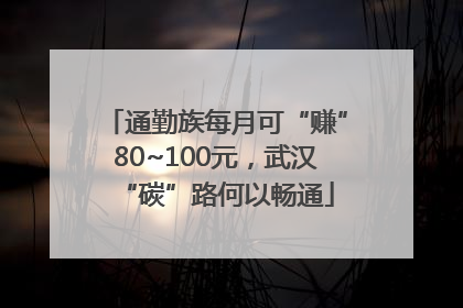 通勤族每月可“赚”80~100元，武汉“碳”路何以畅通