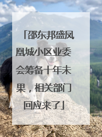 邵东邦盛凤凰城小区业委会筹备十年未果，相关部门回应来了