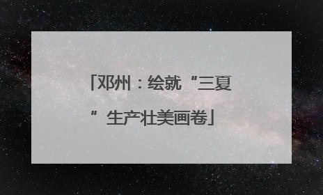 邓州：绘就“三夏”生产壮美画卷